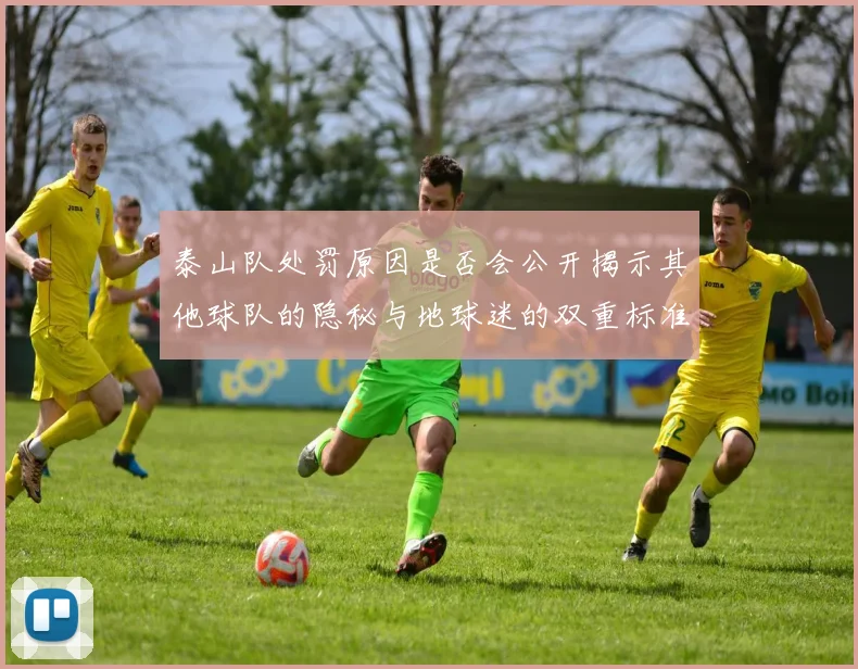 泰山队处罚原因是否会公开揭示其他球队的隐秘与地球迷的双重标准
