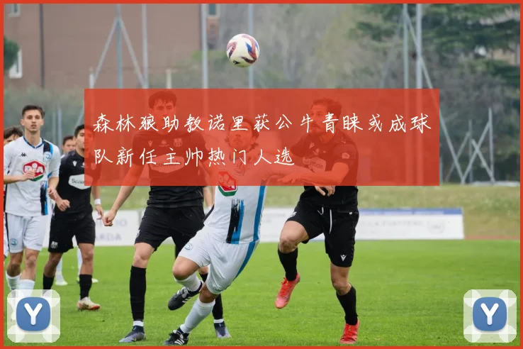 森林狼助教诺里获公牛青睐或成球队新任主帅热门人选