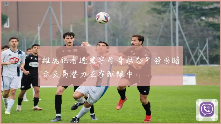 雄鹿记者透露字母哥动态平静或暗示交易潜力正在酝酿中