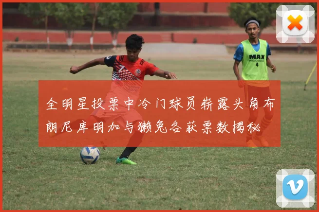 全明星投票中冷门球员崭露头角布朗尼库明加与獭兔各获票数揭秘