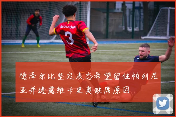 德泽尔比坚定表态希望留住帕利尼亚并透露维卡里奥缺席原因
